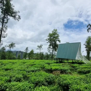 Gallery image of Estate Villa 1921 in wayanad