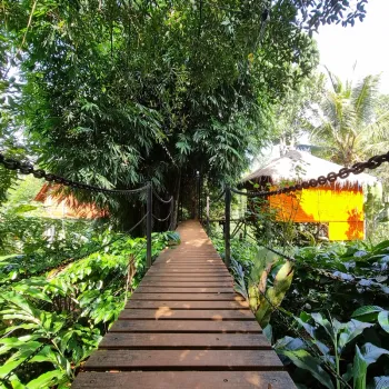 Gallery image of River Tree Resort in wayanad