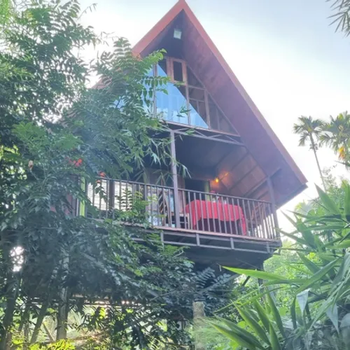 Gallery image of River Tree Resort in wayanad