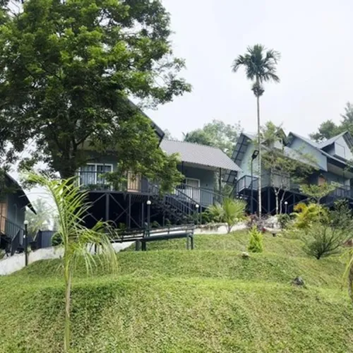 Gallery image of Mountain Vibes in Wayanad