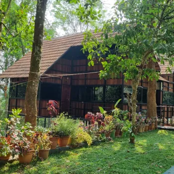 Gallery image of Tree House Wayanad in Sulthan Bathery