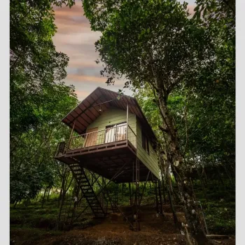 Gallery image of Seena Homestay and Hut  in Wayanad