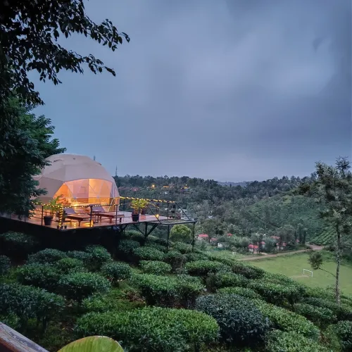 Gallery image of Hipnoetic Stays in Wayanad