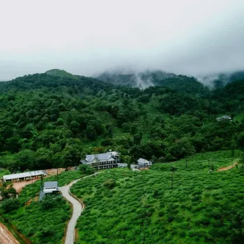 Gallery image of Jungle View Resort in Wayanad