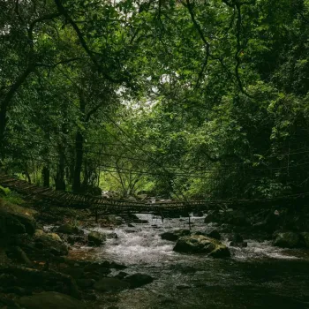 Gallery image of Jungle View Resort in Wayanad