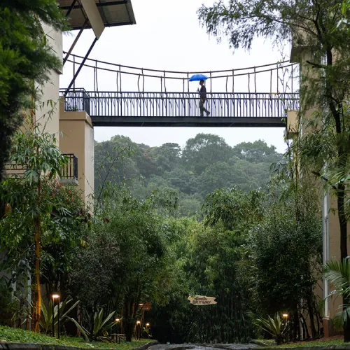 Gallery image of SKYWAY STAYS in Wayanad