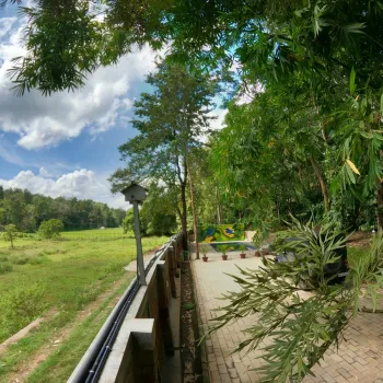 Gallery image of Thennal Jungle Camp in Wayanad