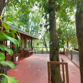 Gallery image of Thennal Jungle Camp in Wayanad