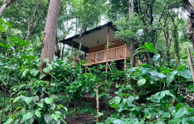 Mud House Image