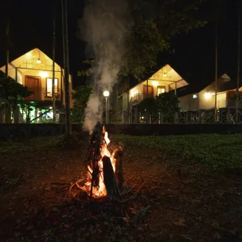 Gallery image of Feel Free Resort in Wayanad