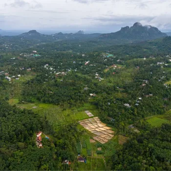 Gallery image of Theyila Wayanad in Wayanad