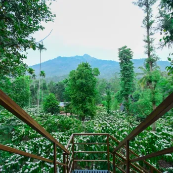 Gallery image of Cascara Coffee Cottages in Wayanad