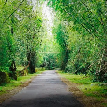 Gallery image of Agraharam Resorts in Wayanad