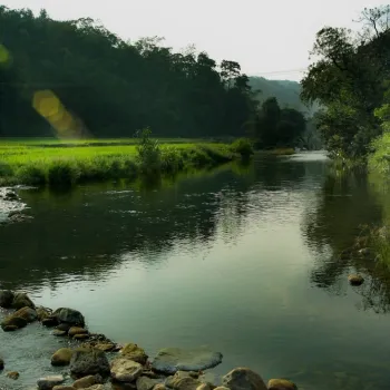 Gallery image of Agraharam Resorts in Wayanad