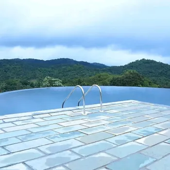Gallery image of Jungle  Edge Resort in Wayanad