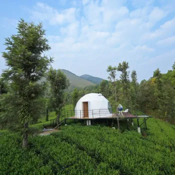 Gallery image of Vythiri Tea Valley in Wayanad