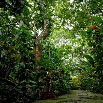 Gallery image of Coffee Acres Wayanad in Wayanad