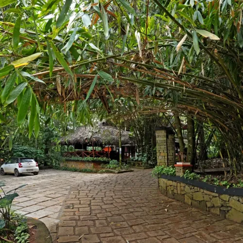 Gallery image of Coffee Acres Wayanad in Wayanad