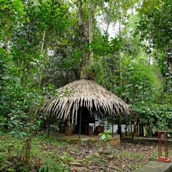 Gallery image of Coffee Acres Wayanad in Wayanad